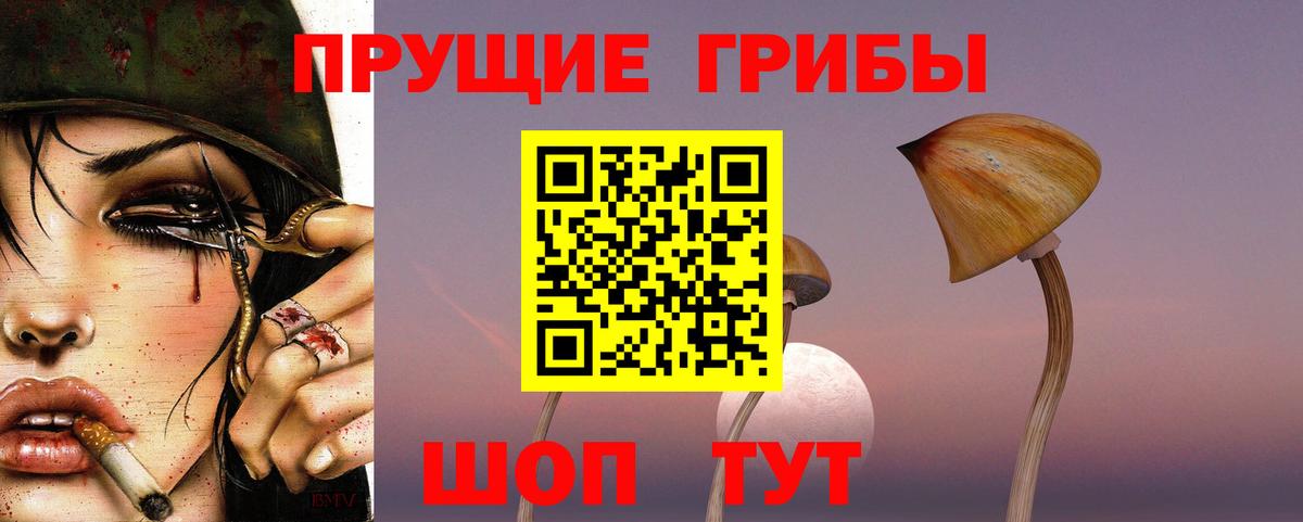 Протвино  Псилоцибиновые грибы Magic Shrooms  Вход с VPN 